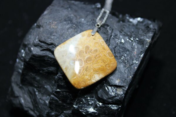 Collier en corail fossilisé jaune