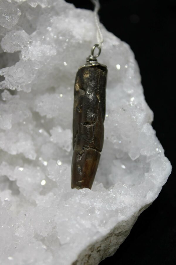 Pendentif rare en Bélémnite